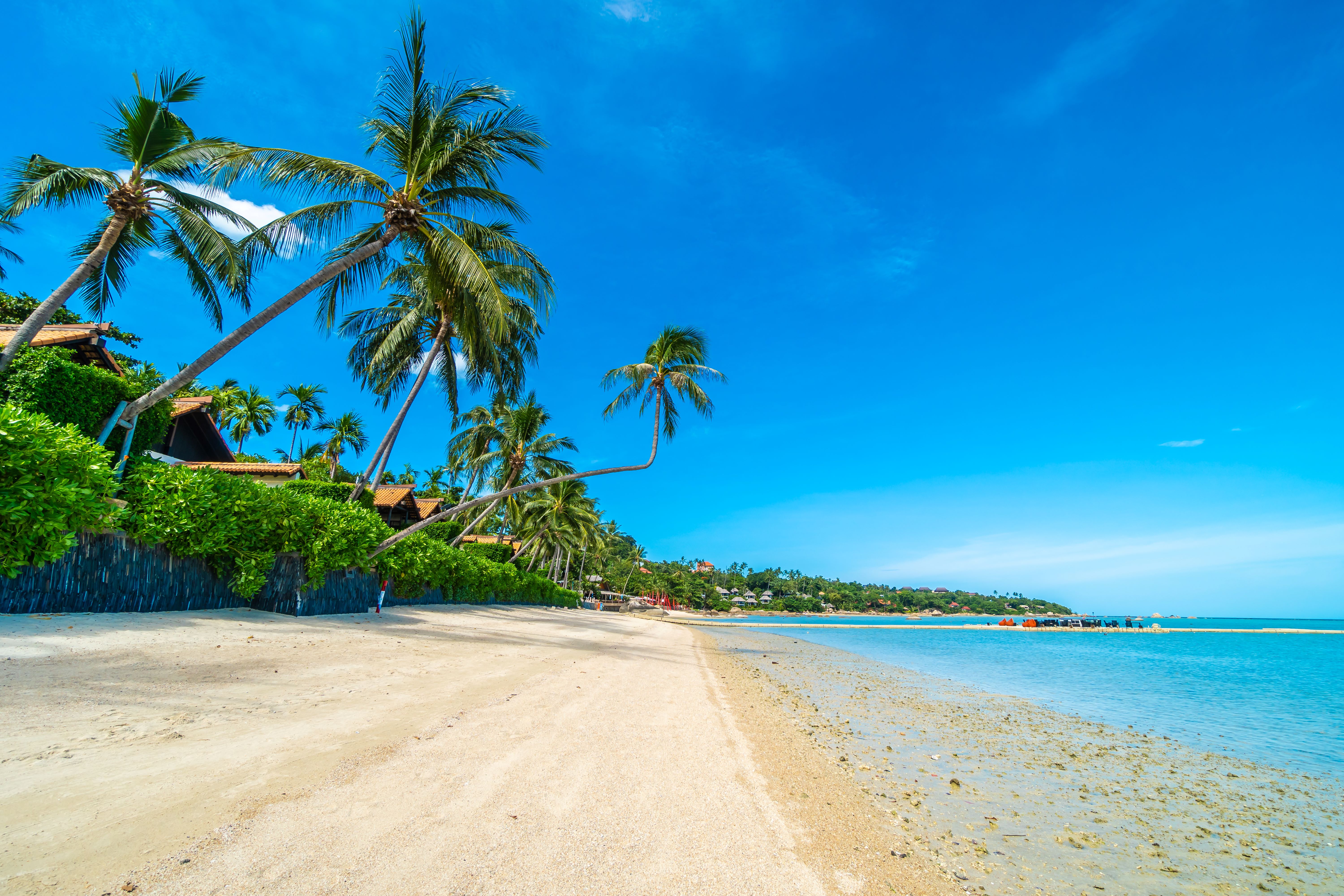 Places to Visit in Goa