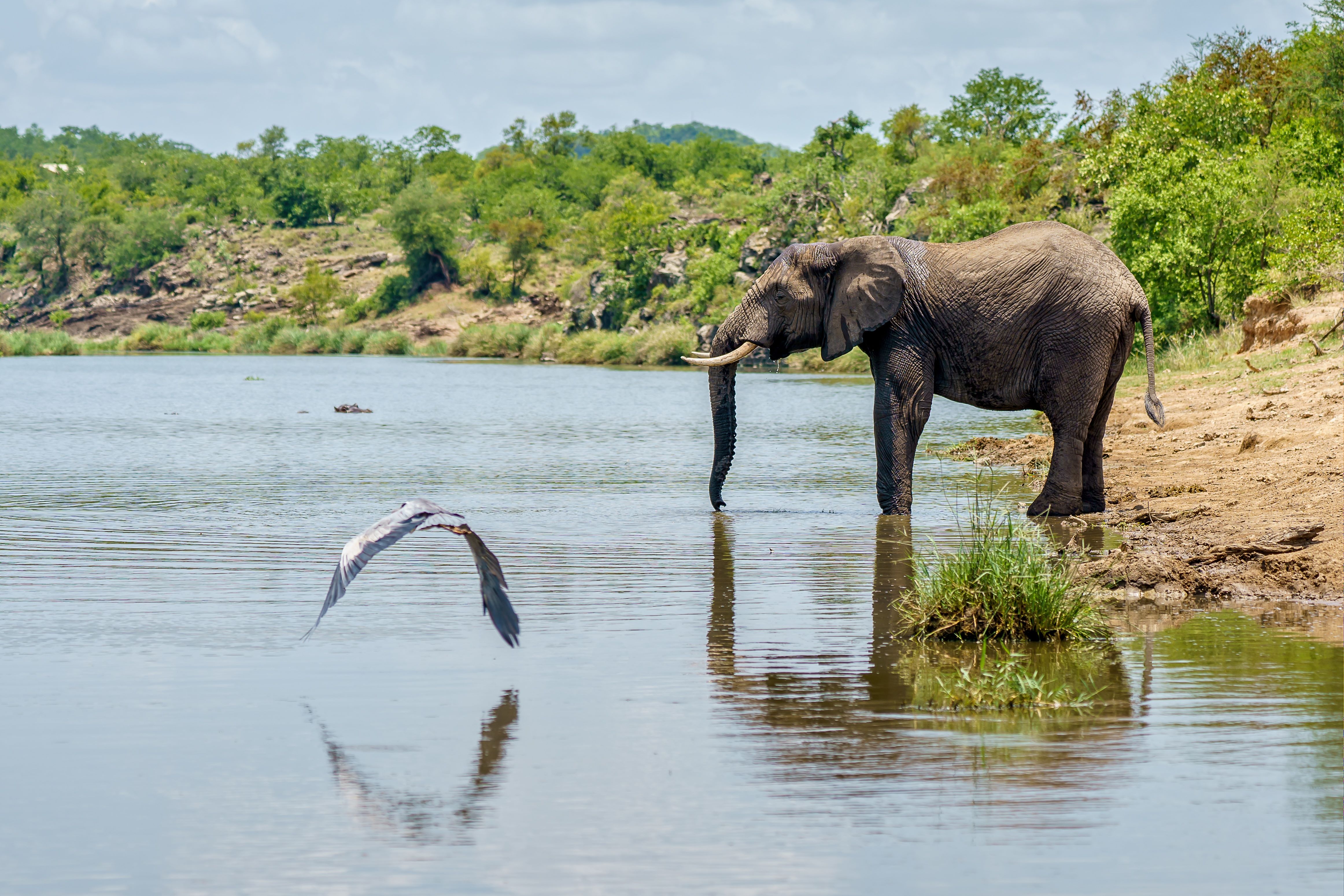 Havelock Island