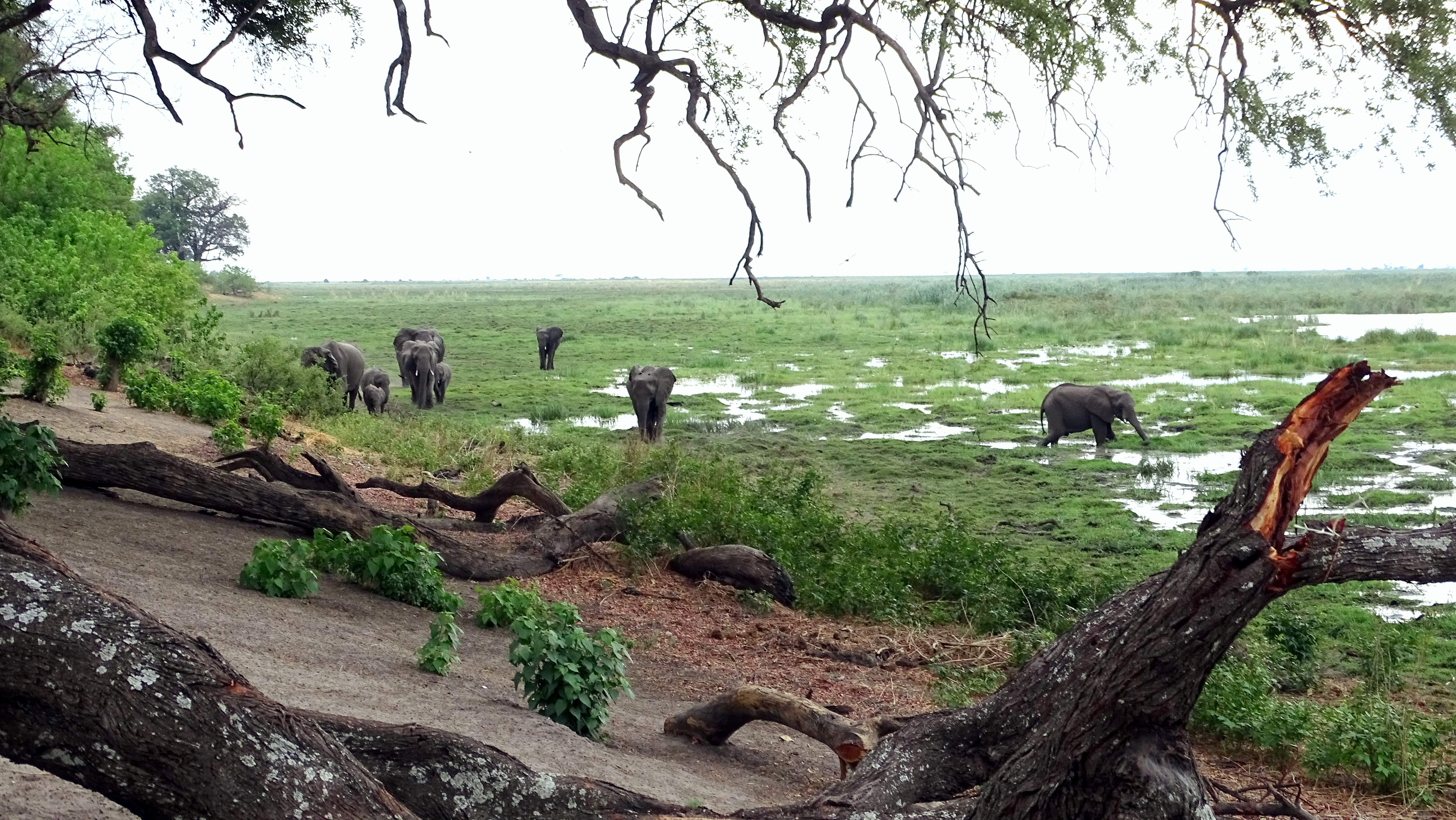 National Parks of India