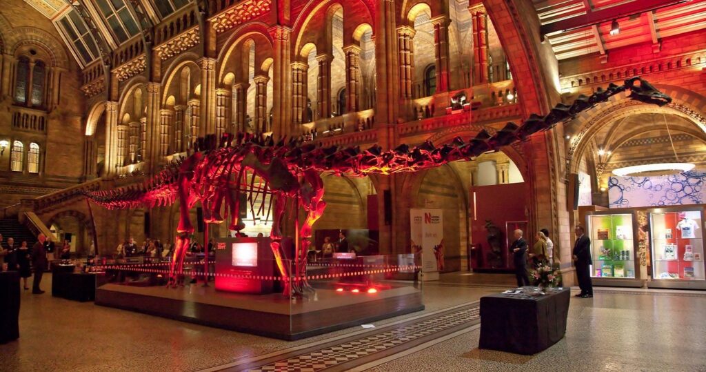 Natural History Museum London| red zone