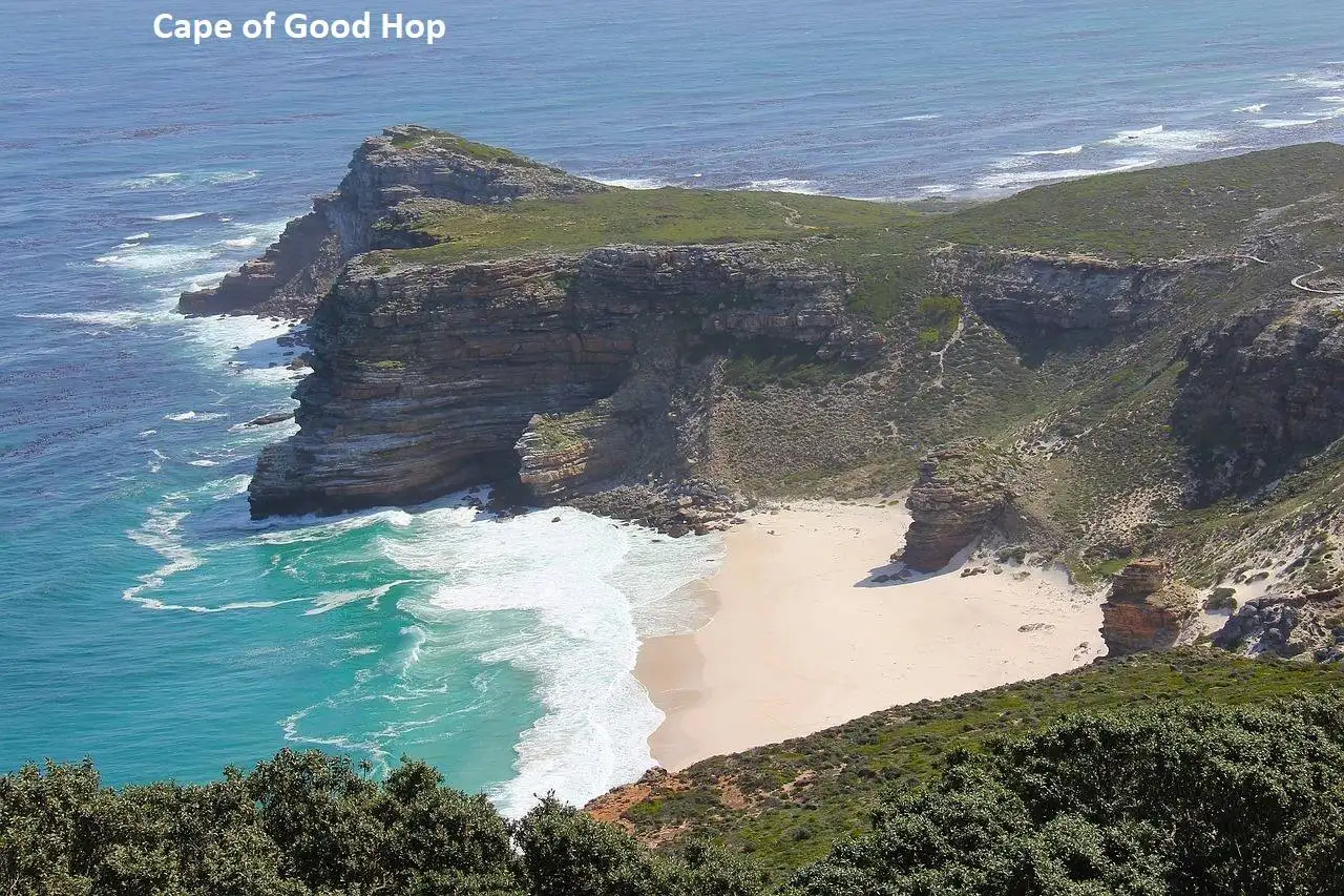 Cape of Good Hope: A Haven for Nature Lovers