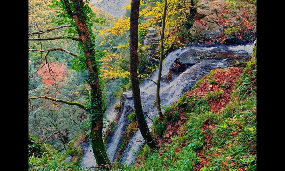 Aspromonte National Park, Reggio Calabria