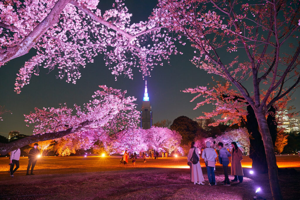 Best things to do in Tokyo