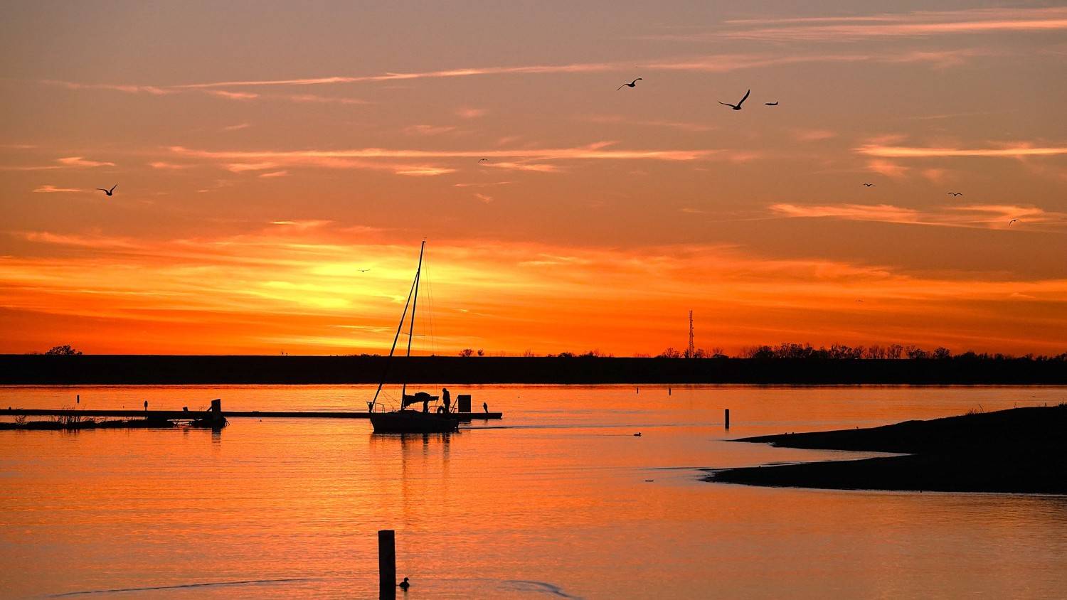 Discover Stewart Creek Park: A Haven for Nature Enthusiasts