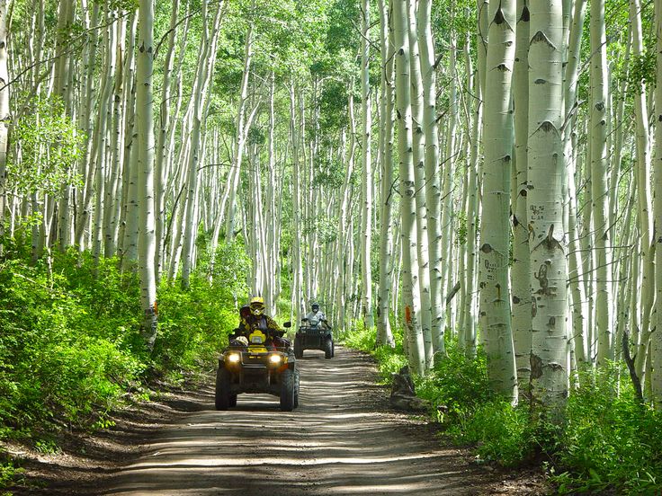 ATV Paiute Trail, Marysvale Utah