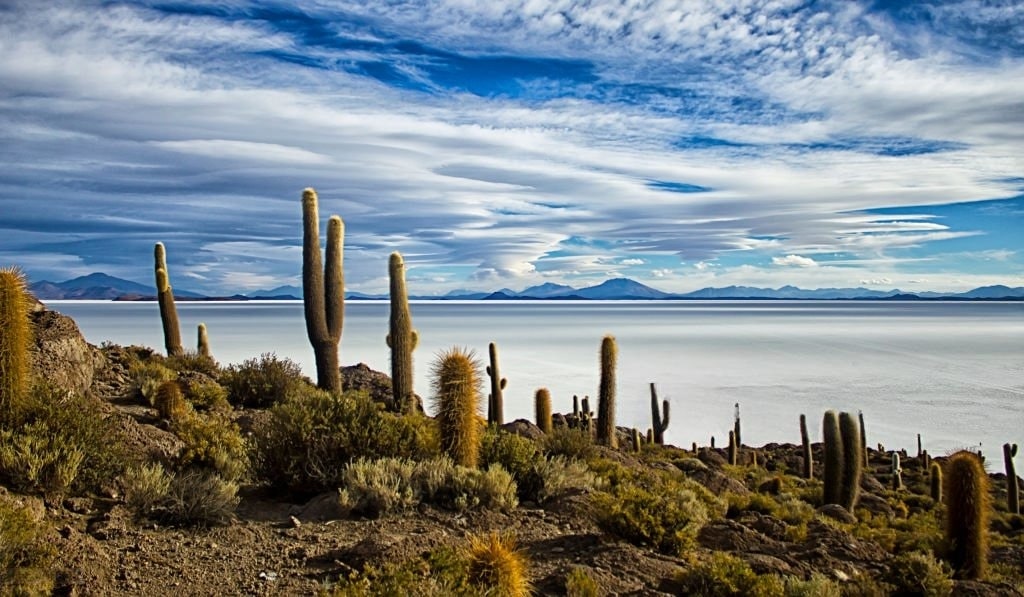 Uyuni Salt Flat, Isla Incahuasi