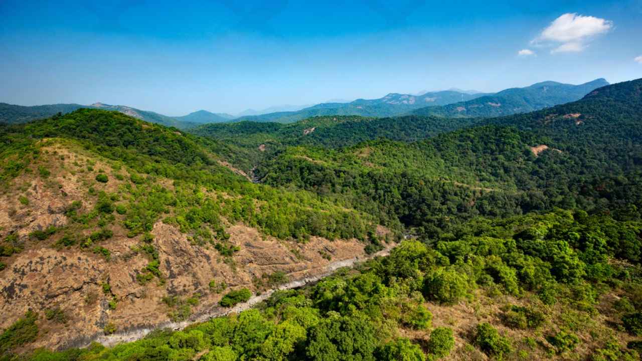 The beautiful view of lush green Silent Valley National Park