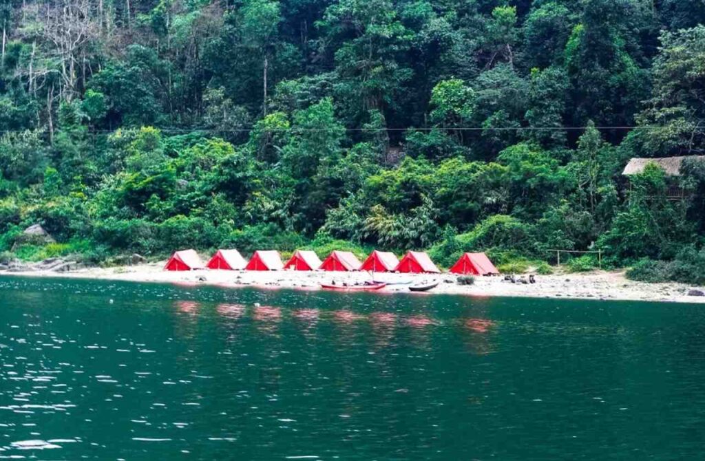 A row of red tents lined up along the riverbank in Dawki, surrounded by lush greenery and clear water.